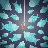 Phishing frenzy: how to keep phishers out of your inbox